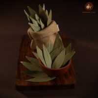 Bay Leaf Natural